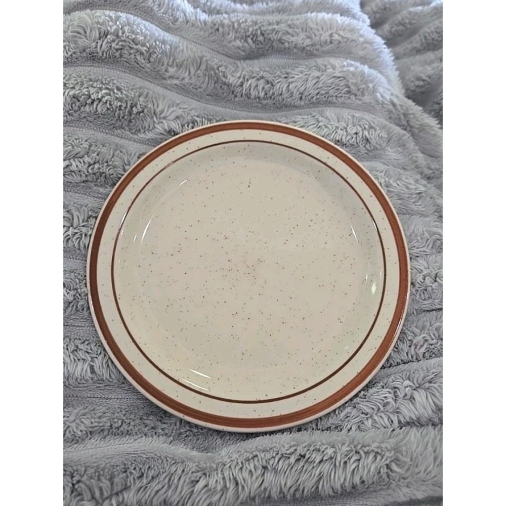 Rego C767-21 Bread Butter Plate Speckled Cream Brown Band‎ Restaurant Ware 6.5"